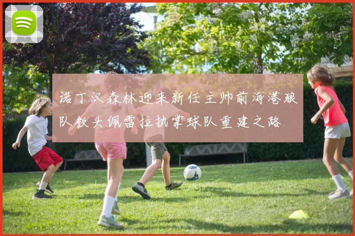 诺丁汉森林迎来新任主帅前海港狼队教头佩雷拉执掌球队重建之路