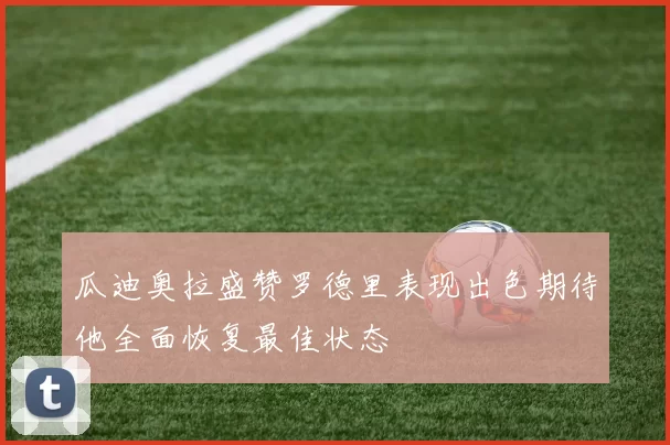 瓜迪奥拉盛赞罗德里表现出色期待他全面恢复最佳状态