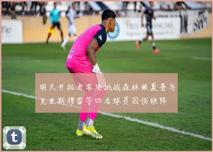 明天开拓者客场挑战森林狼夏普与克里斯穆雷等四名球员因伤缺阵