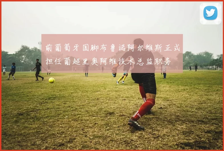 前葡萄牙国脚布鲁诺阿尔维斯正式担任葡超里奥阿维技术总监职务